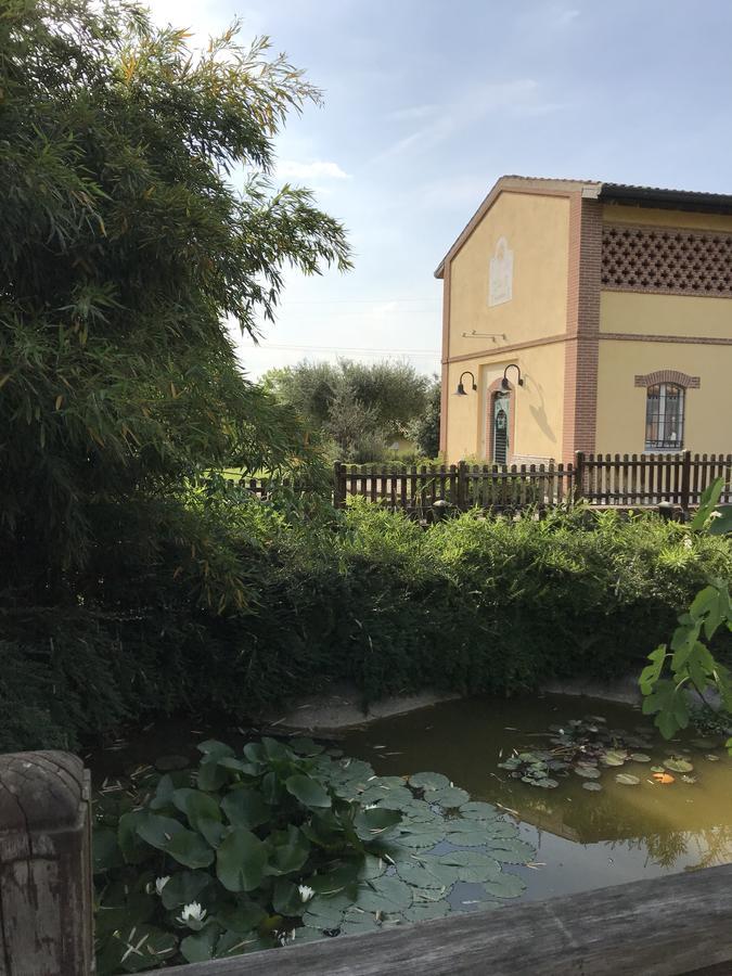 Hotel Agriturismo Corte Salandini Ponti sul Mincio Exteriér fotografie