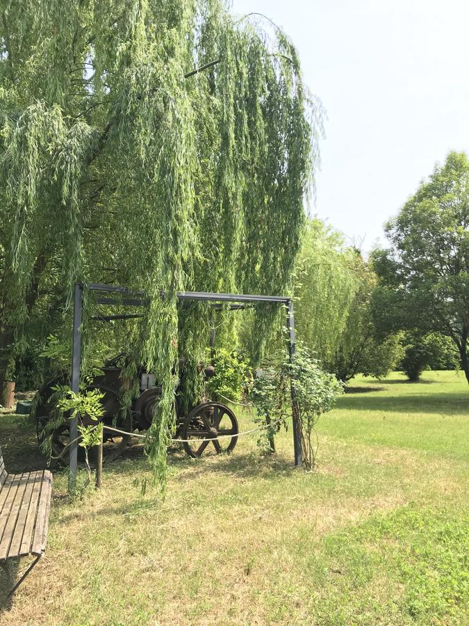 Hotel Agriturismo Corte Salandini Ponti sul Mincio Exteriér fotografie